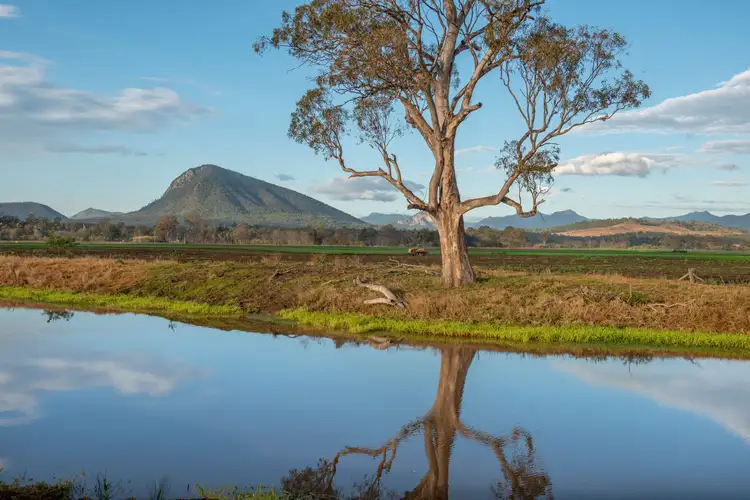 Fifth view of Homely rural property listing, 213 Frazerview Road, Aratula QLD 4309