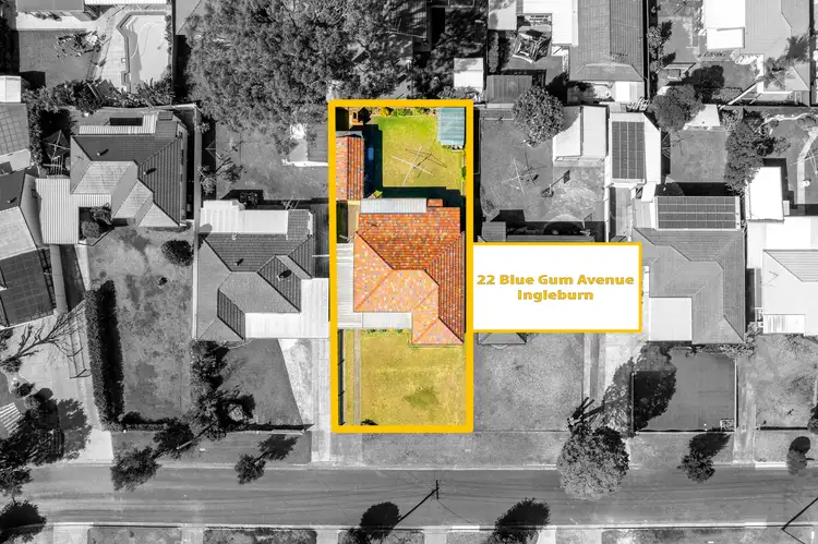 Main view of Homely house listing, 22 Blue Gum Avenue, Ingleburn NSW 2565
