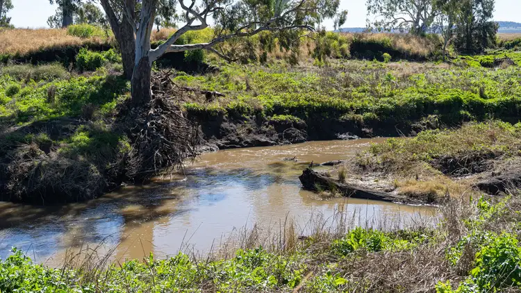 Fifth view of Homely rural property listing, 0 Blackgully Road, Pittsworth QLD 4356