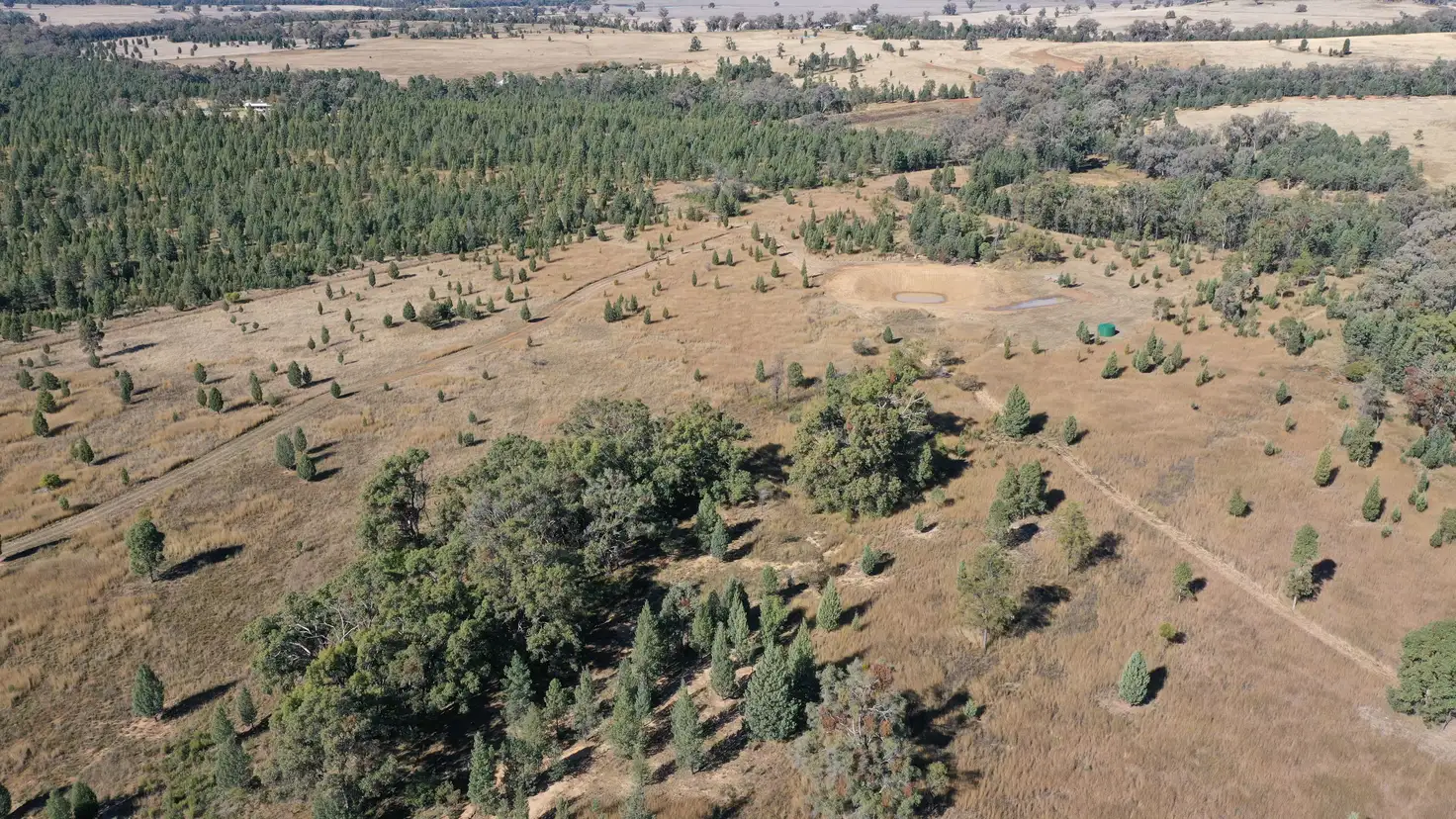 Main view of Homely rural property listing, 8432 Black Stump Way, Tambar Springs NSW 2381