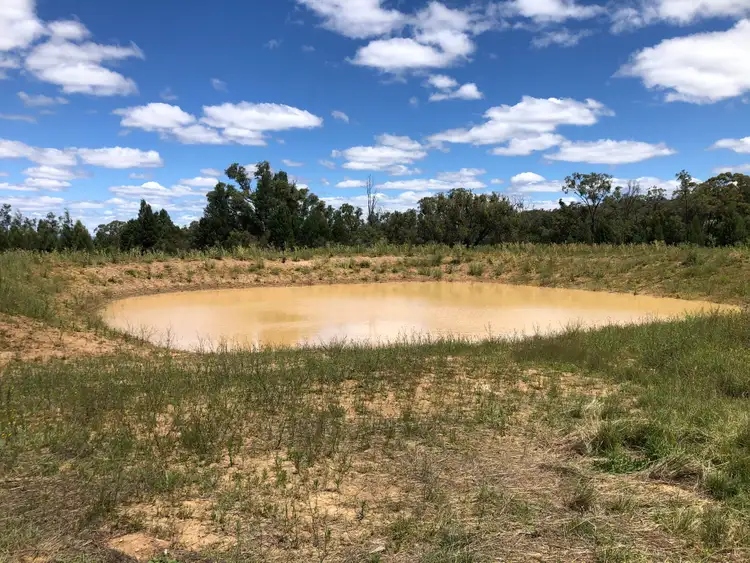 Fourth view of Homely rural property listing, 8432 Black Stump Way, Tambar Springs NSW 2381