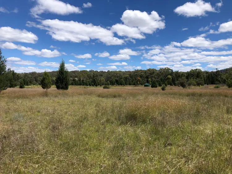 Fifth view of Homely rural property listing, 8432 Black Stump Way, Tambar Springs NSW 2381