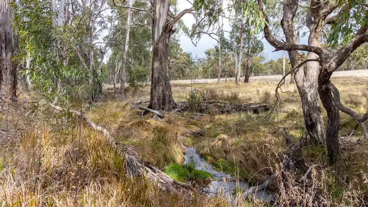 Third view of Homely rural property listing, "Minbalup" New England Gully Road, Tamworth NSW 2340