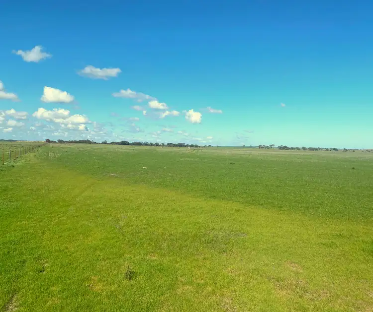 Third view of Homely rural property listing, 317 Nine Mile Road, Ashville SA 5259