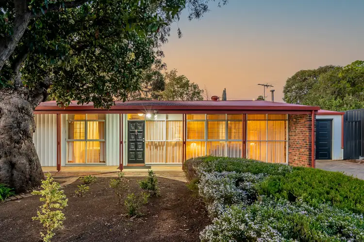 21 Windermere Avenue, Clapham SA 5062