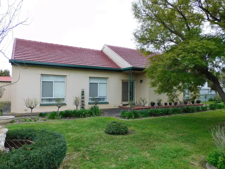 41 East Terrace, Bordertown SA 5268