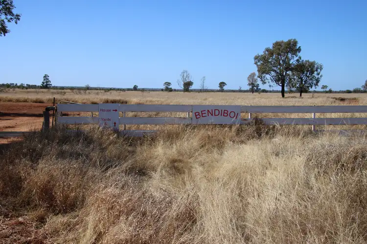 Main view of Homely rural property listing, 545 Bendeboi Road, Surat QLD 4417
