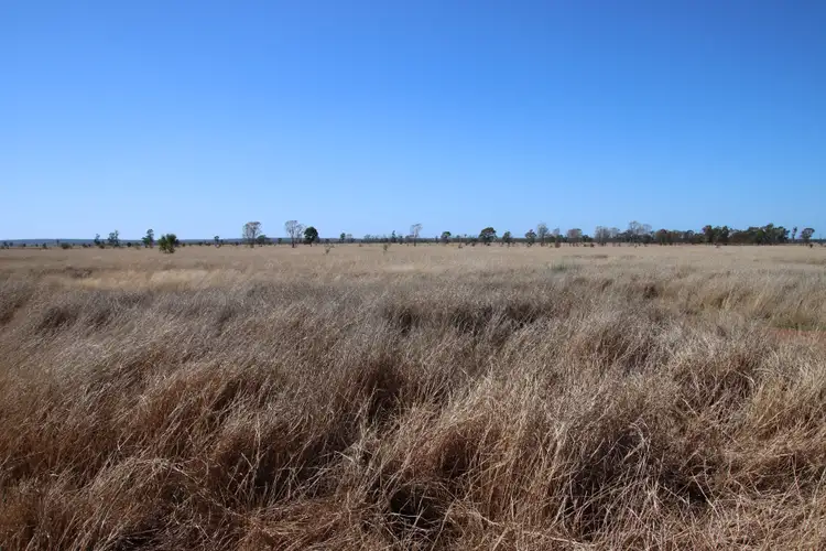 Fourth view of Homely rural property listing, 545 Bendeboi Road, Surat QLD 4417