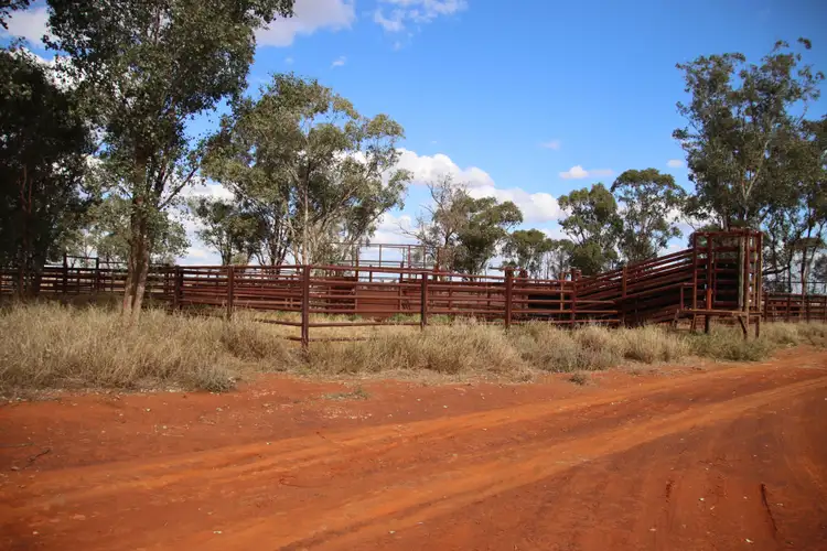 Sixth view of Homely rural property listing, 545 Bendeboi Road, Surat QLD 4417