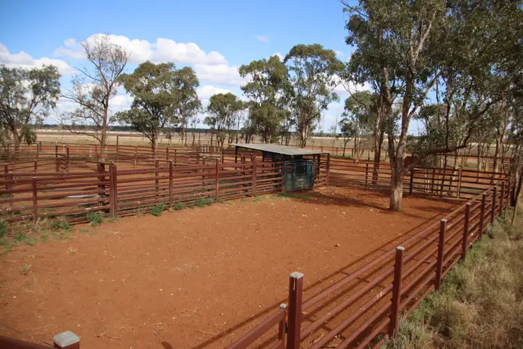 Seventh view of Homely rural property listing, 545 Bendeboi Road, Surat QLD 4417