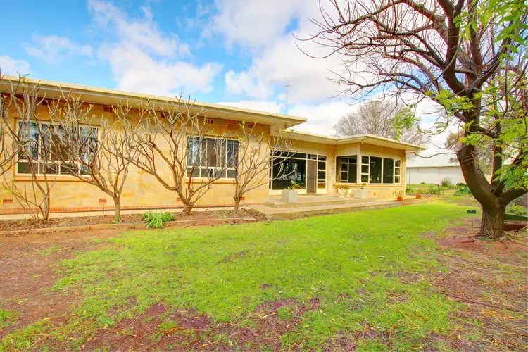 Second view of Homely house listing, 13 Blake Road, Waikerie SA 5330