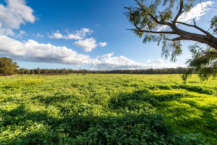 Fourth view of Homely rural property listing, 5362 Brockman Highway, Nannup WA 6275