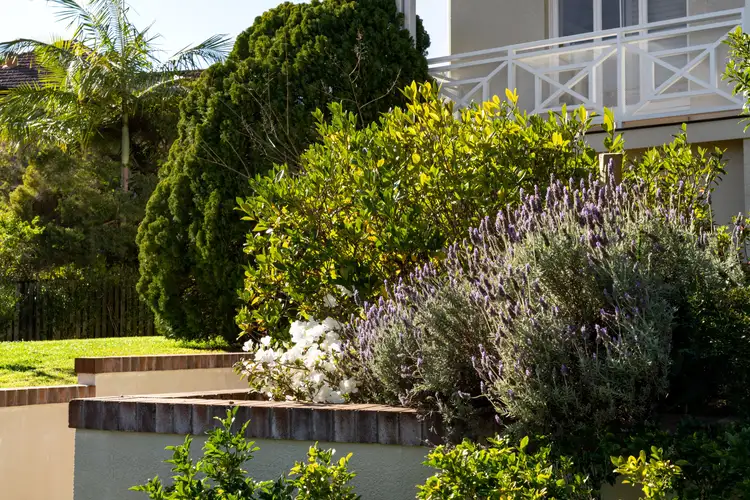 Second view of Homely house listing, 17 Perihelion Street, Coorparoo QLD 4151