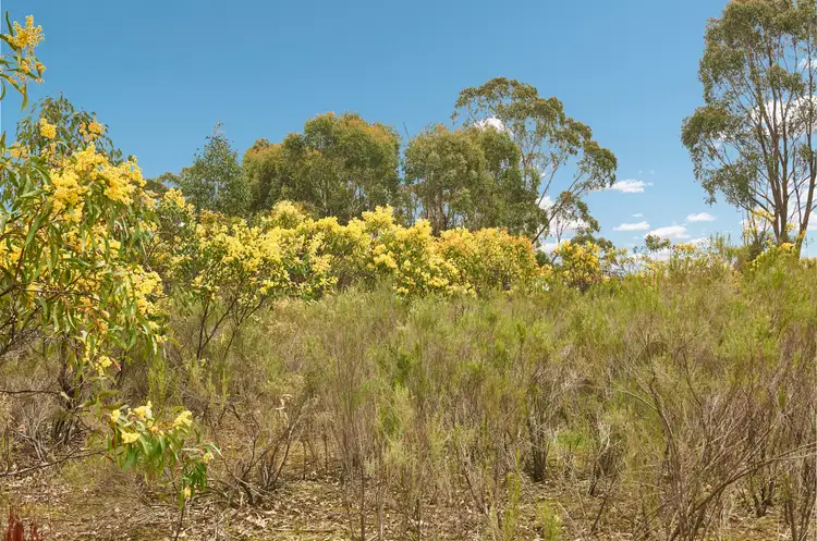 Fifth view of Homely land listing, Lot 5 Pook Road, Heathcote VIC 3523