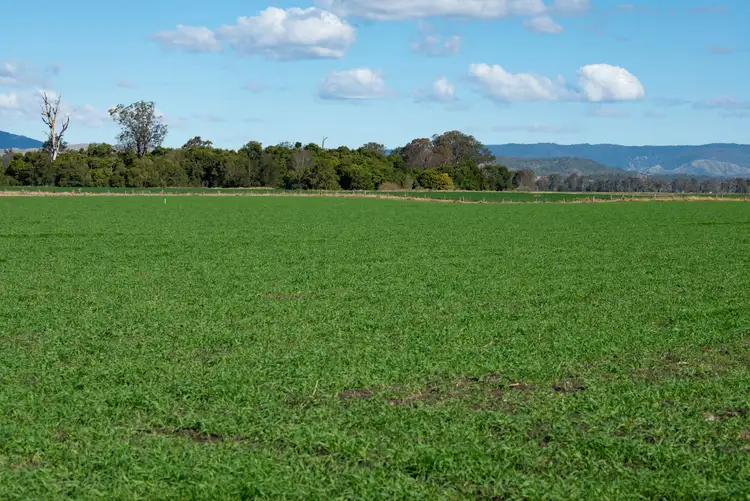 Fifth view of Homely rural property listing, 1 Tamrookum Church Road, Tamrookum QLD 4285