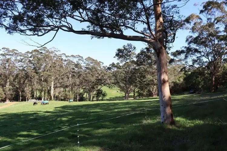 Fourth view of Homely land listing, 103 Middleton Close, Denmark WA 6333