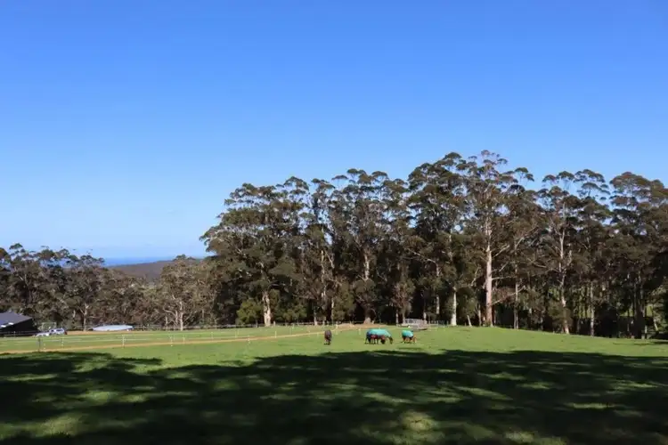 Seventh view of Homely land listing, 103 Middleton Close, Denmark WA 6333