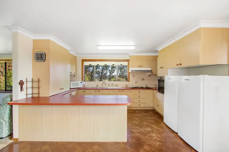 Fifth view of Homely rural property listing, 776 Tyringham Road, Dorrigo NSW 2453