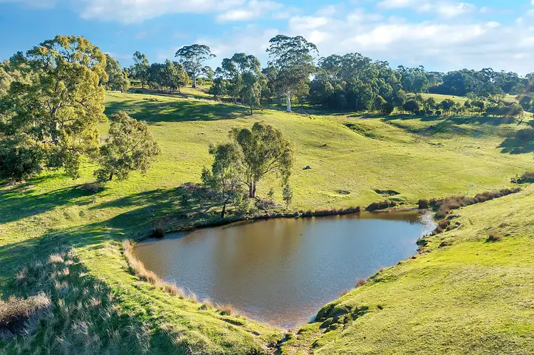 Fourth view of Homely rural property listing, 37 Cockatoo Lane, Chandlers Hill SA 5159