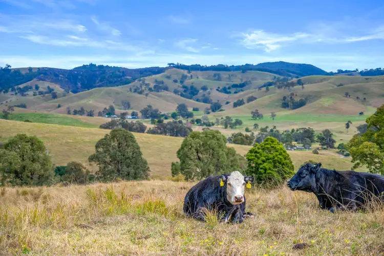 Main view of Homely rural property listing, Lot 193/DP752501 Welshmans Creek Road, Wallarobba NSW 2420