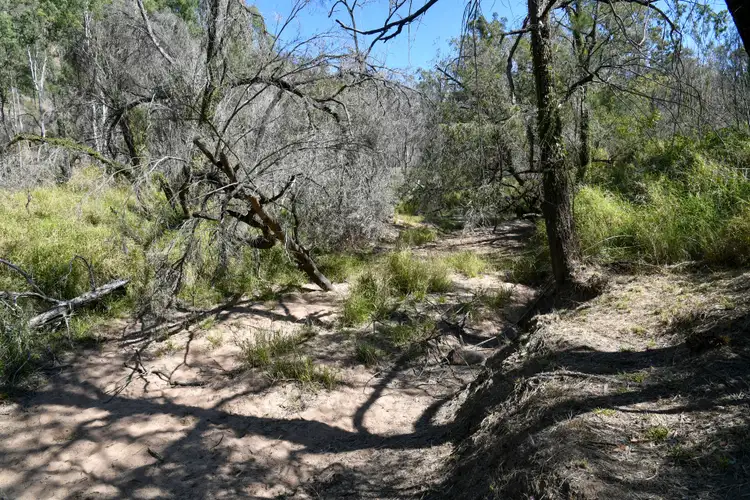 Fifth view of Homely rural property listing, Lot 131 Falls Road, Glen Esk QLD 4312