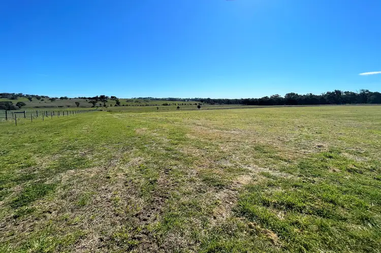 1003 Henry Lawson Way, Young NSW 2594