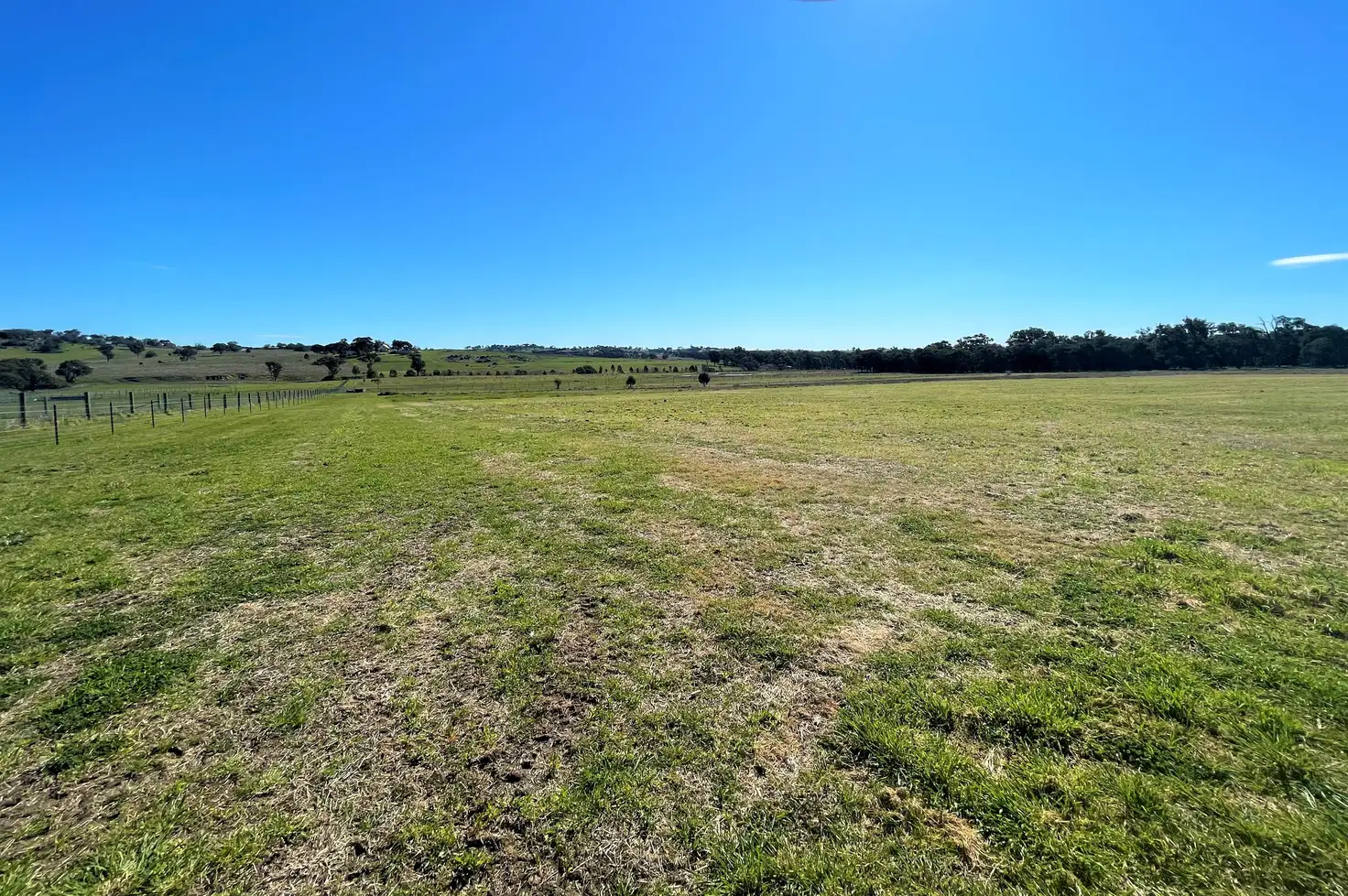 Main view of Homely rural property listing, 1003 Henry Lawson Way, Young NSW 2594