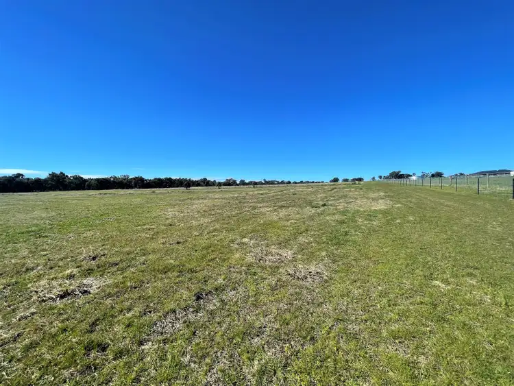 Second view of Homely rural property listing, 1003 Henry Lawson Way, Young NSW 2594