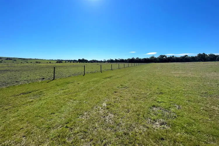Third view of Homely rural property listing, 1003 Henry Lawson Way, Young NSW 2594