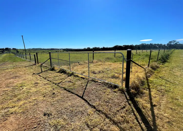 Fourth view of Homely rural property listing, 1003 Henry Lawson Way, Young NSW 2594