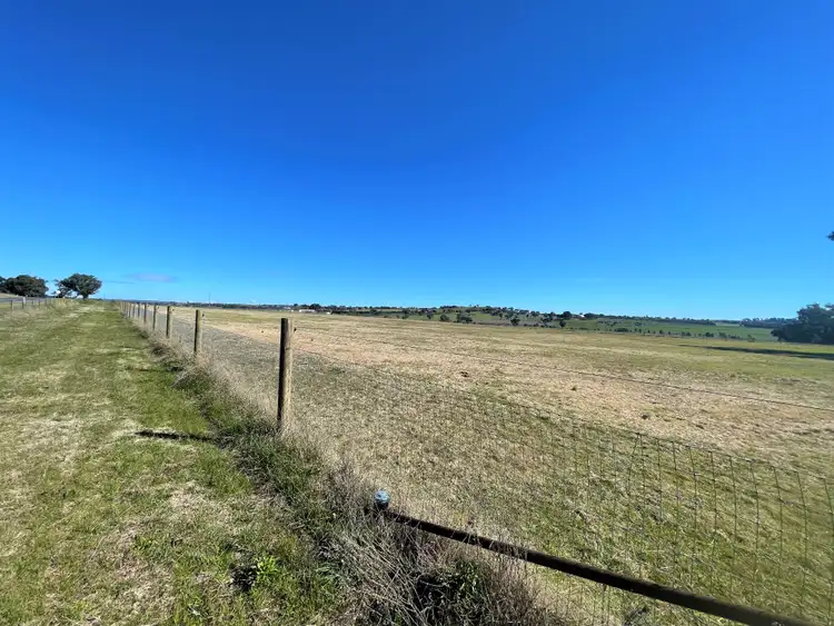 Sixth view of Homely rural property listing, 1003 Henry Lawson Way, Young NSW 2594