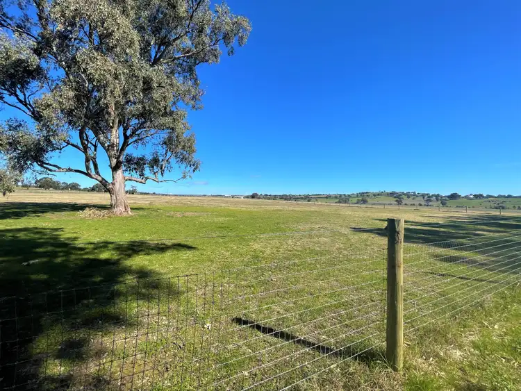 Seventh view of Homely rural property listing, 1003 Henry Lawson Way, Young NSW 2594