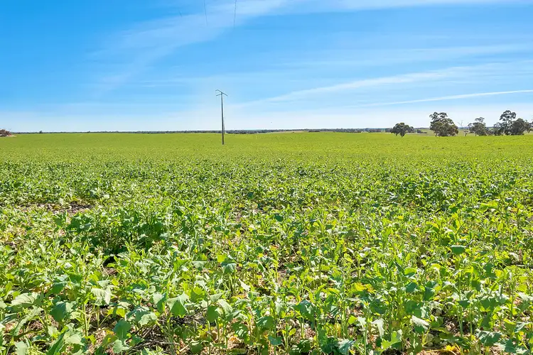 Second view of Homely rural property listing, 7297 Dukes Highway, Culburra SA 5261