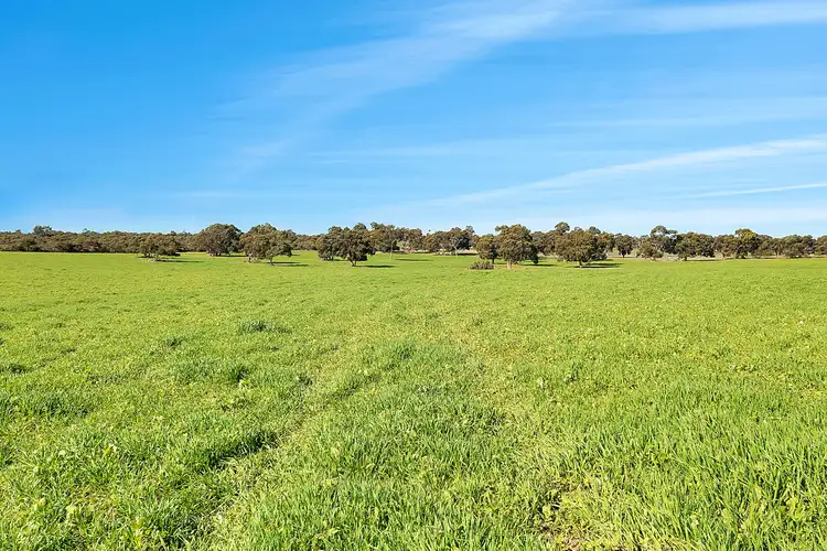 Third view of Homely rural property listing, 7297 Dukes Highway, Culburra SA 5261