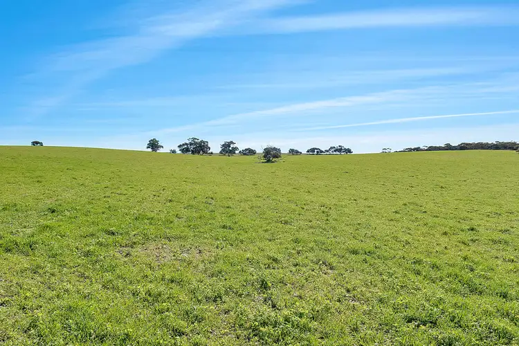 Fourth view of Homely rural property listing, 7297 Dukes Highway, Culburra SA 5261