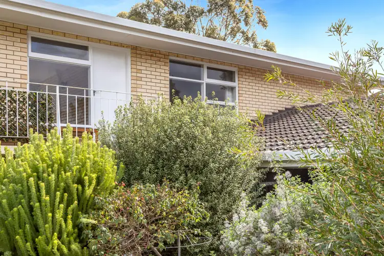 Second view of Homely unit listing, 12/23 Davenport Terrace, Hazelwood Park SA 5066