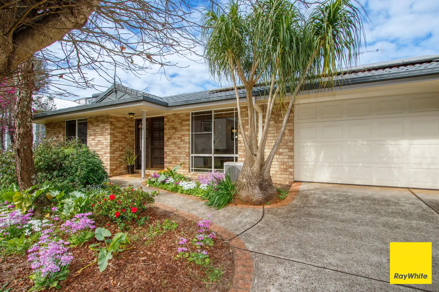 Main view of Homely house listing, 8 Old Coramba Road, Dorrigo NSW 2453