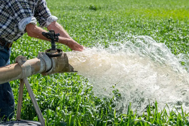 Second view of Homely rural property listing, 'Lamascotte' & 'Meadows' 195 Kelvinhaugh-Boodua Road & 1516 Murrs Road, Boodua QLD 4401