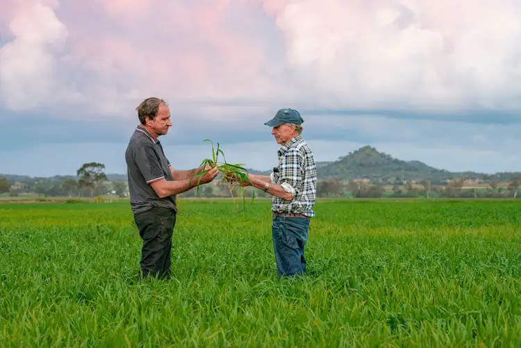 Third view of Homely rural property listing, 'Lamascotte' & 'Meadows' 195 Kelvinhaugh-Boodua Road & 1516 Murrs Road, Boodua QLD 4401