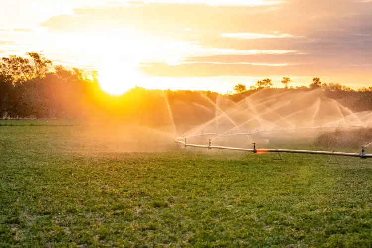 Fifth view of Homely rural property listing, 'Lamascotte' & 'Meadows' 195 Kelvinhaugh-Boodua Road & 1516 Murrs Road, Boodua QLD 4401