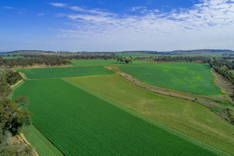 Sixth view of Homely rural property listing, 'Lamascotte' & 'Meadows' 195 Kelvinhaugh-Boodua Road & 1516 Murrs Road, Boodua QLD 4401