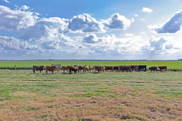 Sixth view of Homely rural property listing, 0/Hogg Road, Mount Tyson QLD 4356