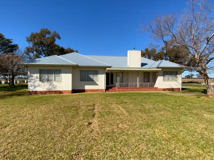 Main view of Homely rural property listing, 1360 Whitton Road, Stanbridge NSW 2705