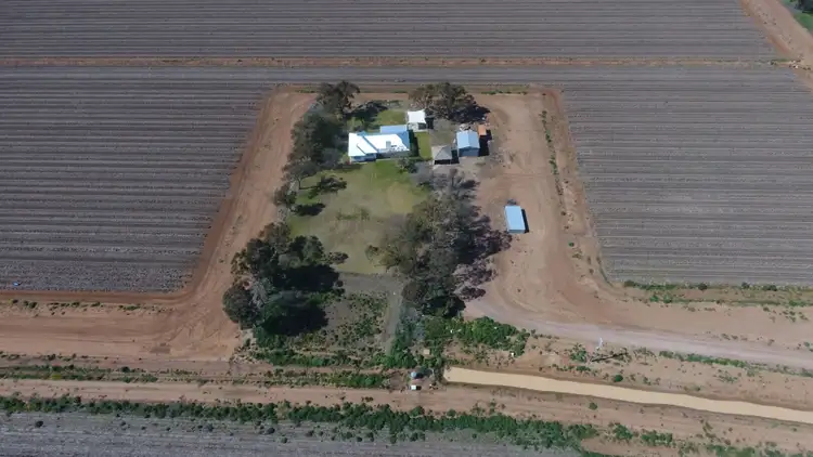 Fifth view of Homely rural property listing, 1360 Whitton Road, Stanbridge NSW 2705