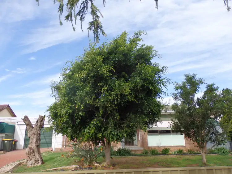 14 Marcian Avenue, Elizabeth Downs SA 5113