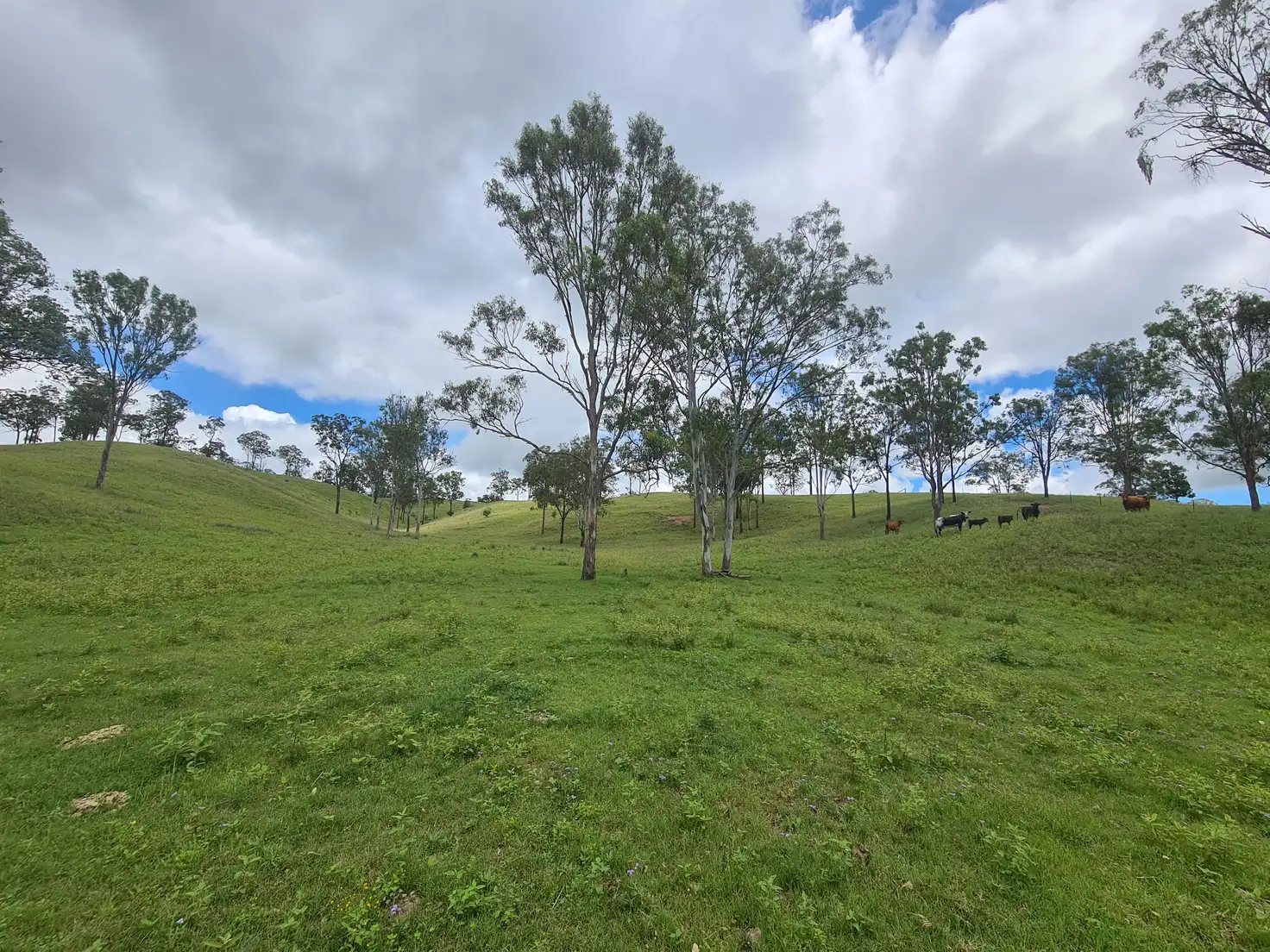 Main view of Homely rural property listing, L164 Voll Road, Emu Creek QLD 4355