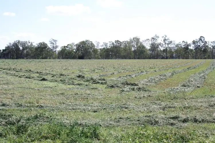 Fifth view of Homely rural property listing, "Shed Block" Loakes Road, Mundubbera QLD 4626