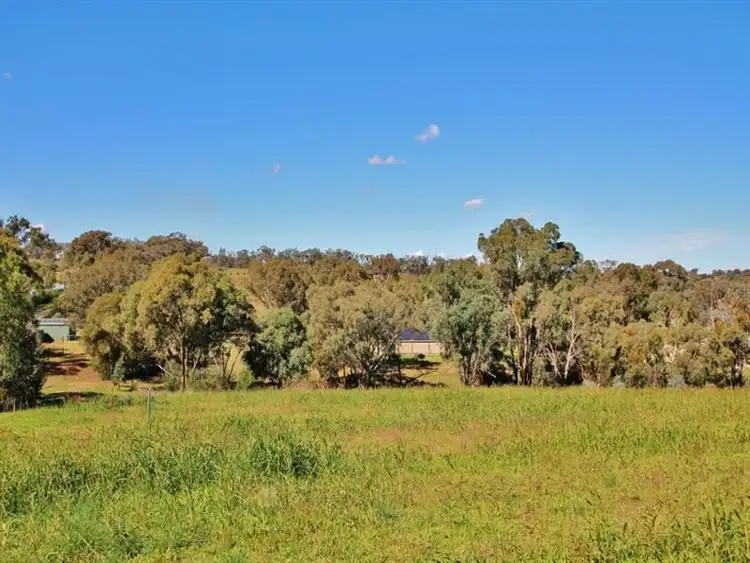 Seventh view of Homely land listing, 96 Hills Street, Young NSW 2594