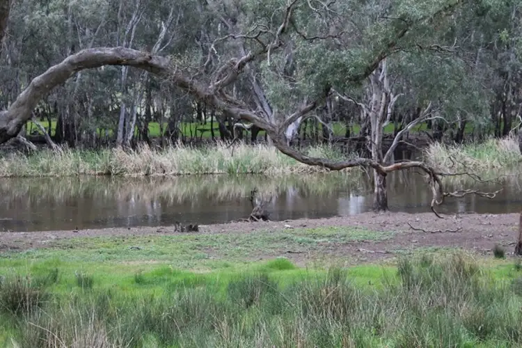 Second view of Homely rural property listing, 1234 Tea Tree Creek Road, Harrow VIC 3317