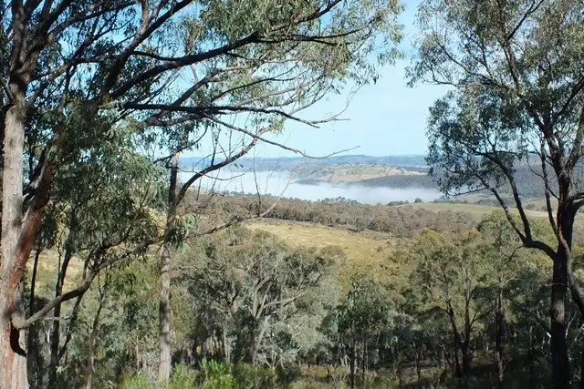 1504 Bald Ridge, Burraga NSW 2795